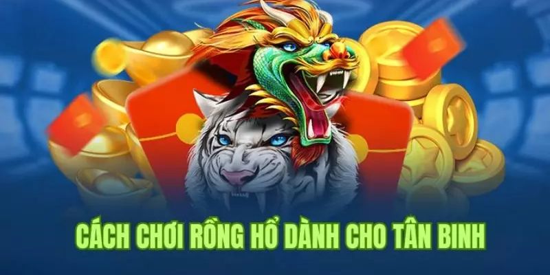 Cách chơi rồng hổ KM88