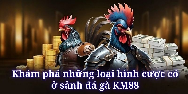 Sảnh đá gà KM88 cựa sắt rất được yêu thích