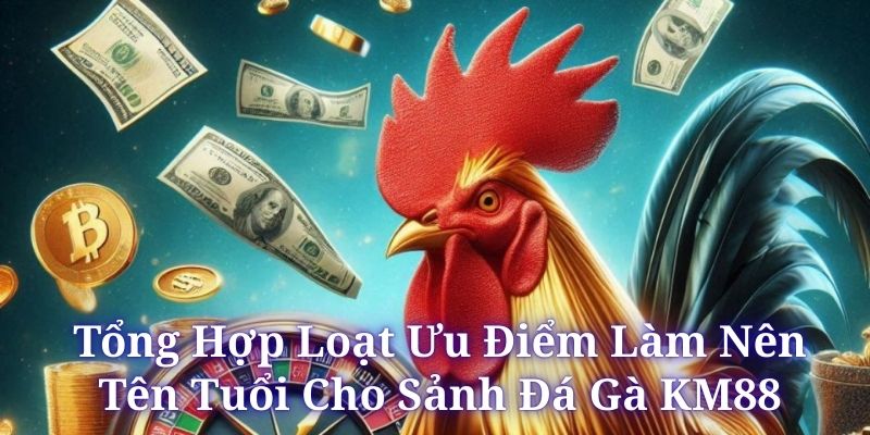 Đá gà KM88 cung cấp vô số loại hình cược đẳng cấp