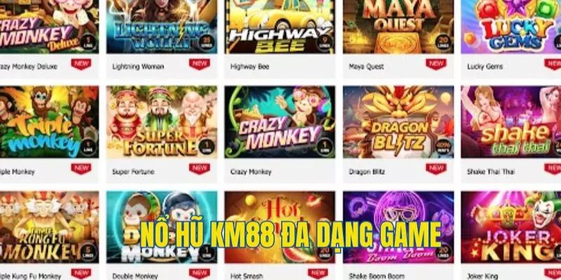 Đa dạng phiên bản