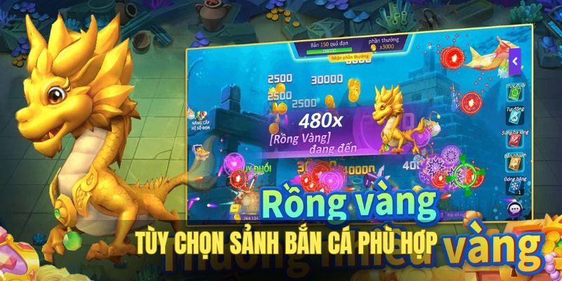 ban-ca-c54-tuy-chon-sanh