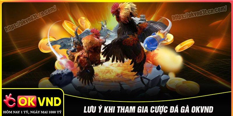 Lưu ý khi tham gia đá gà OKVND cho tân thủ