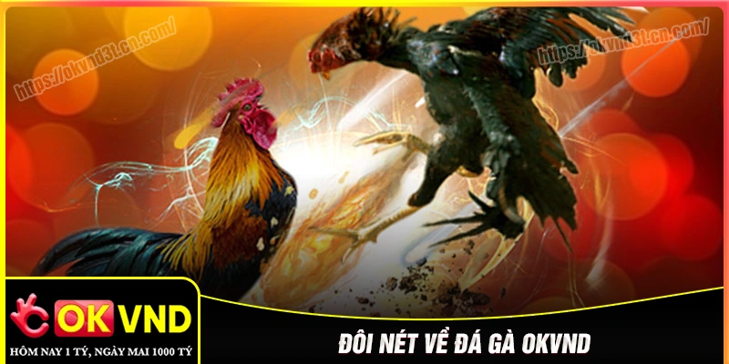 Sơ lược về sảnh đá gà OKVND