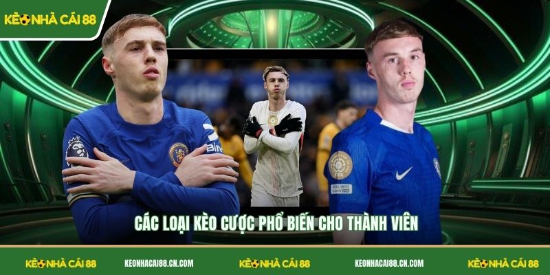 Các loại kèo cược phổ biến cho thành viên