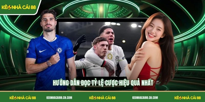 Hướng dẫn đọc tỷ lệ cược hiệu quả nhất