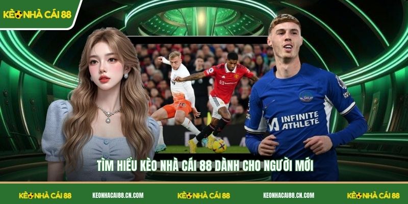 Tìm hiểu Kèo Nhà Cái 88 dành cho người mới